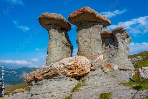 Bucegi sphinx in Bucegi mountains in Romania photo