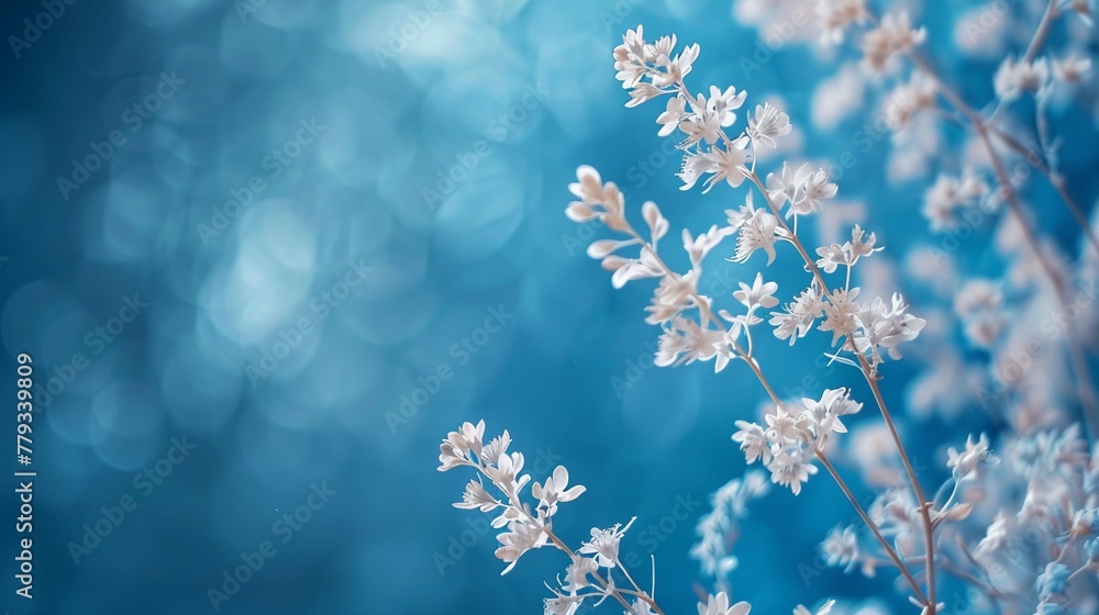 blue background ,high resulution,clean sharp focus blue background ,high resulution,clean sharp focus