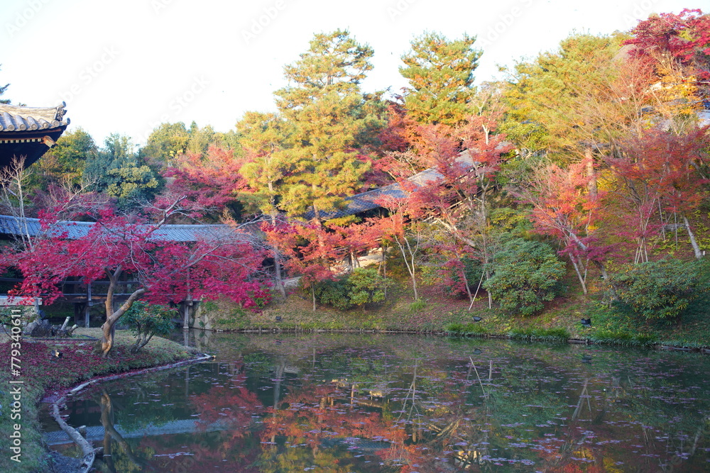 日本の京都の東山区にある高台寺はライトアップで有名ですが昼間の風景も紅葉が綺麗です