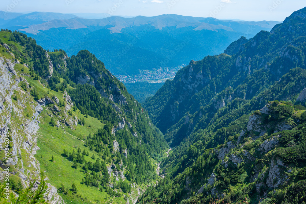 Obraz premium Summer day at Caraiman valley leading to Bucegi mountains near Busteni village in Romania