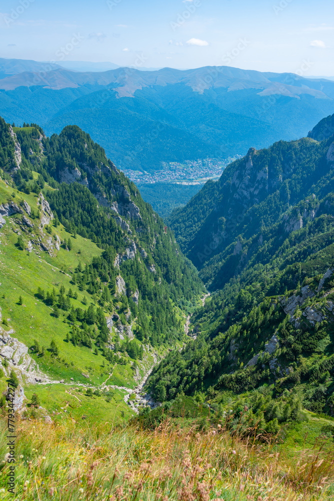 Fototapeta premium Summer day at Caraiman valley leading to Bucegi mountains near Busteni village in Romania
