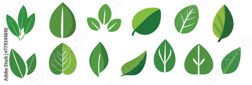 set of green leaves icon  isolate with white background