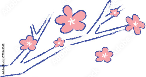 Cherry flowers