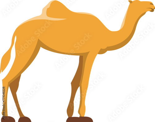 camel cartoon illustration