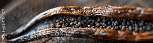 A close-up of a split vanilla bean pod photo