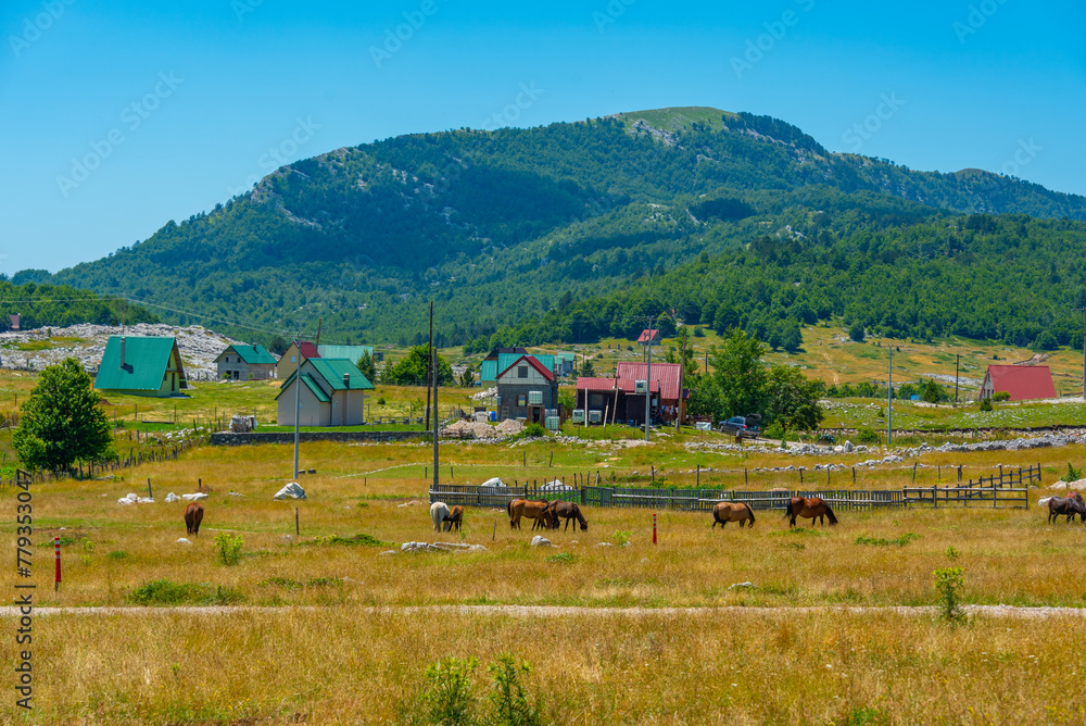 Obraz premium Panorama of Montenegrin village Korita