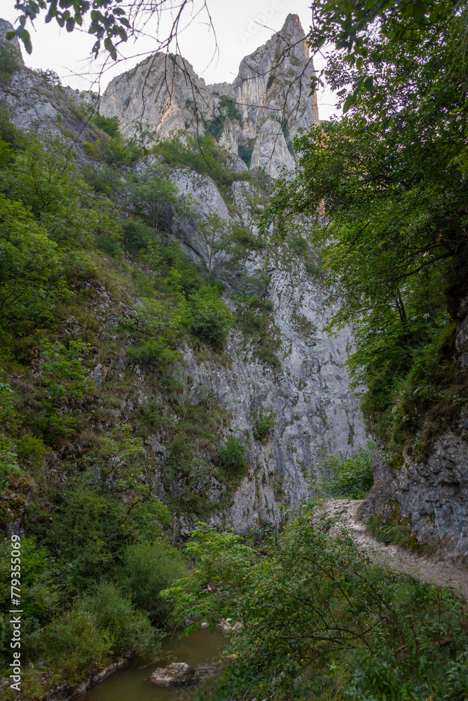 Obraz premium Summer morning at Turda gorge in Romania