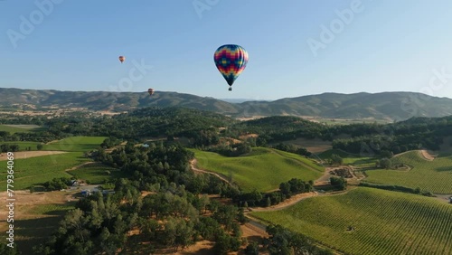 Hot Air Balloons over Napa Valley with Blue Sky and Green Vineyards of Grapevines