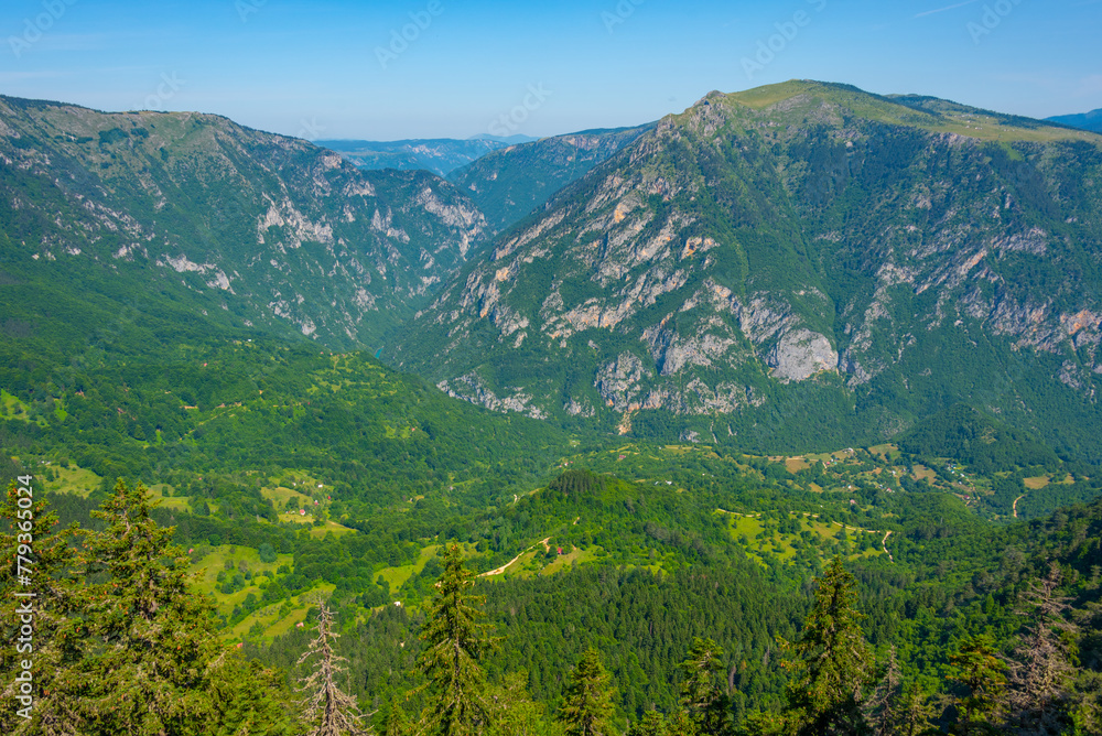 Naklejka premium Tara river valley viewed from Durmitor national park in Montenegro