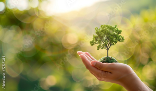 A hand holding a small tree in a green field