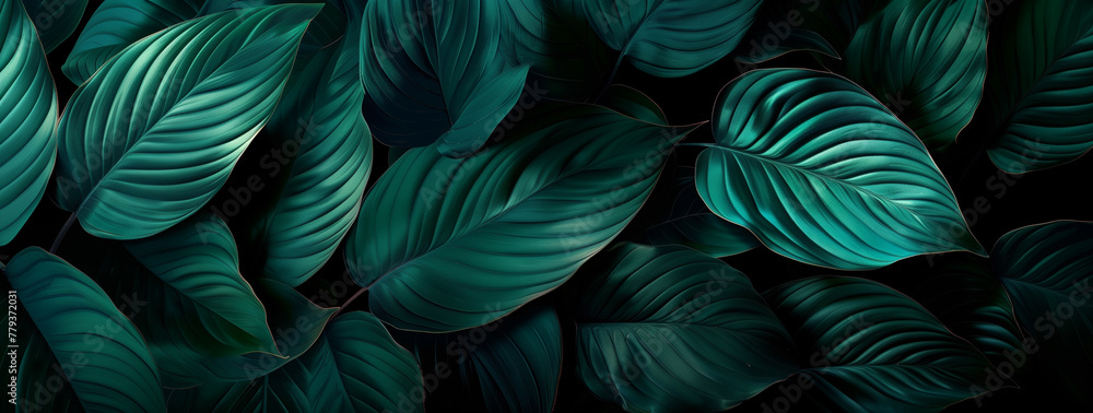 A close up of green leaves with a dark background A close up of green leaves with a dark background