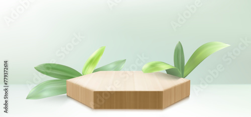 Hexagonal wooden platform with green leaves on light background. Vector realistic illustration of 3D stage for organic cosmetics presentation  natural beauty product stand mockup  exhibition display