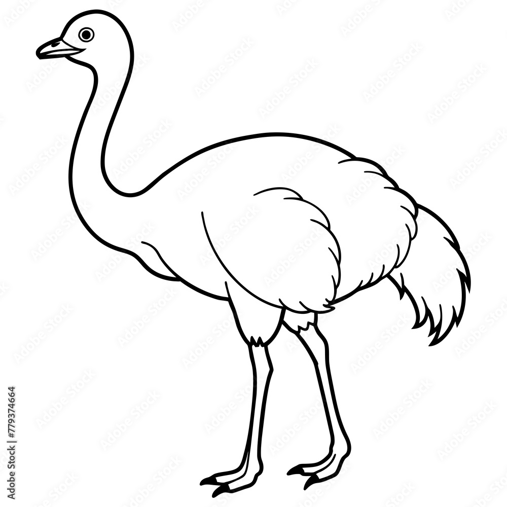 Naklejka premium ostrich line art vector