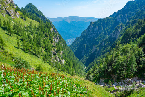 Summer day at Caraiman valley leading to Bucegi mountains near Busteni village in Romania photo