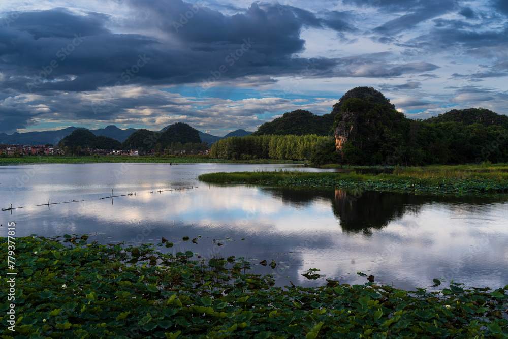 Fototapeta premium A lotus pond at sunset