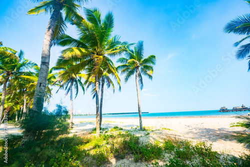 Beautiful view of coconut grove at Gaolong Bay beach in Wenchang, Hainan, China © hu