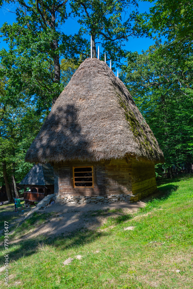 Historical houses at Astra ethnography museum in Sibiu, Romania Historical houses at Astra ethnography museum in Sibiu, Romania