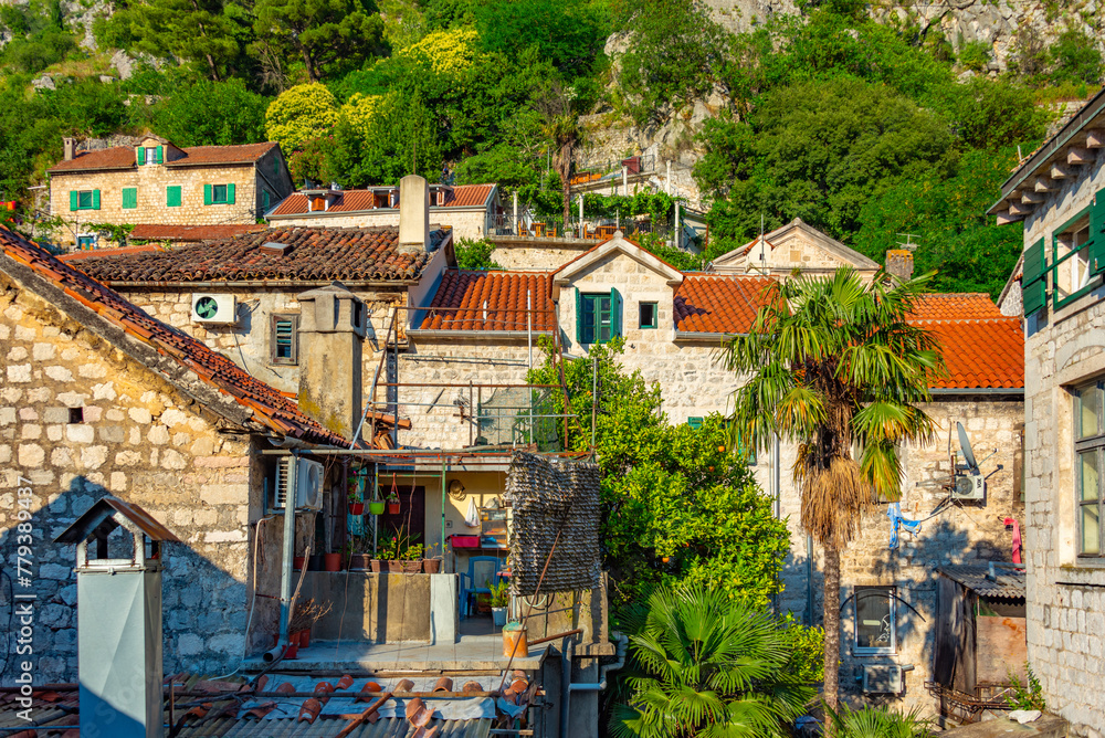 Historical houses in the old town of Kotor, Montenegro