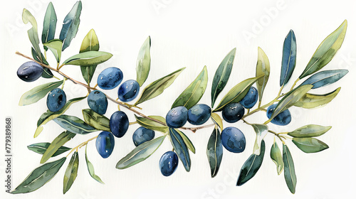 Watercolor depiction capturing the beauty of an olive branch