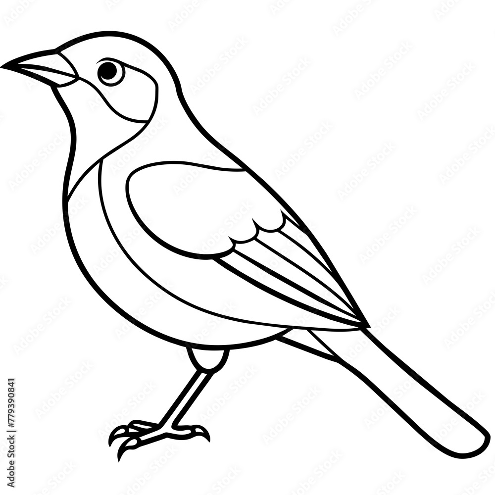 Obraz premium Bird vector illustration with line art.