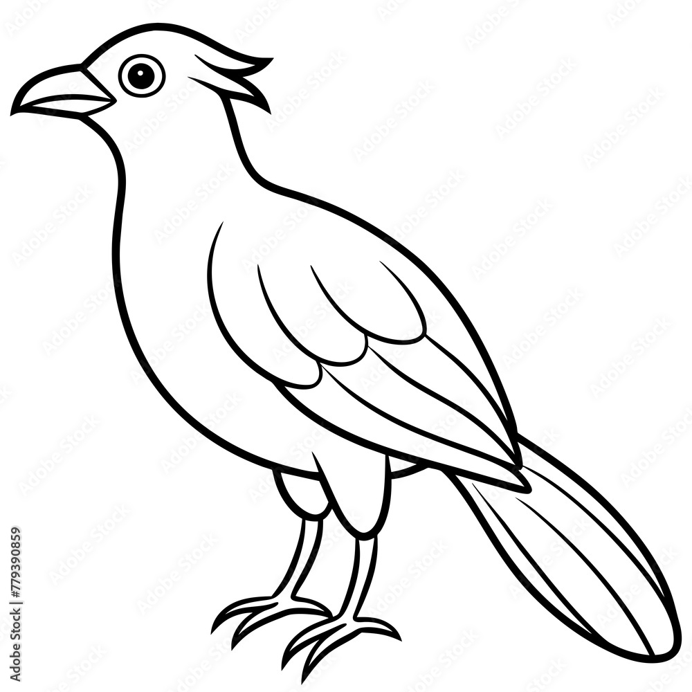 Bird vector illustration with line art. Bird vector illustration with line art.