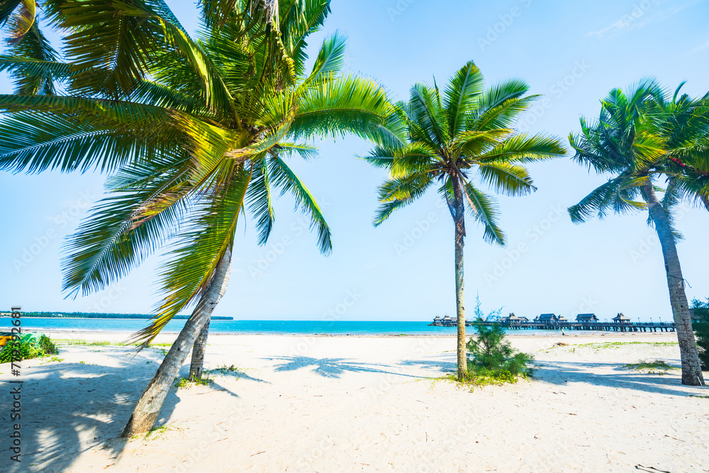 Beautiful view of coconut grove at Gaolong Bay beach in Wenchang, Hainan, China