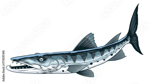 Barracuda Fish Hand Drawn Illustration in Vintage