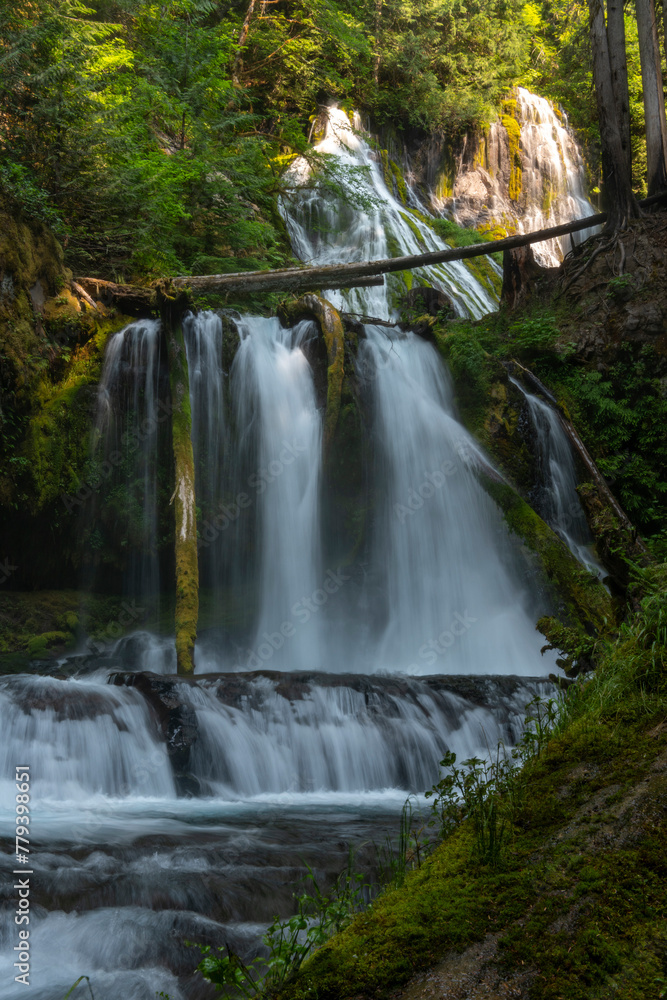 Majestic Waterfalls of the Pacific Northwest