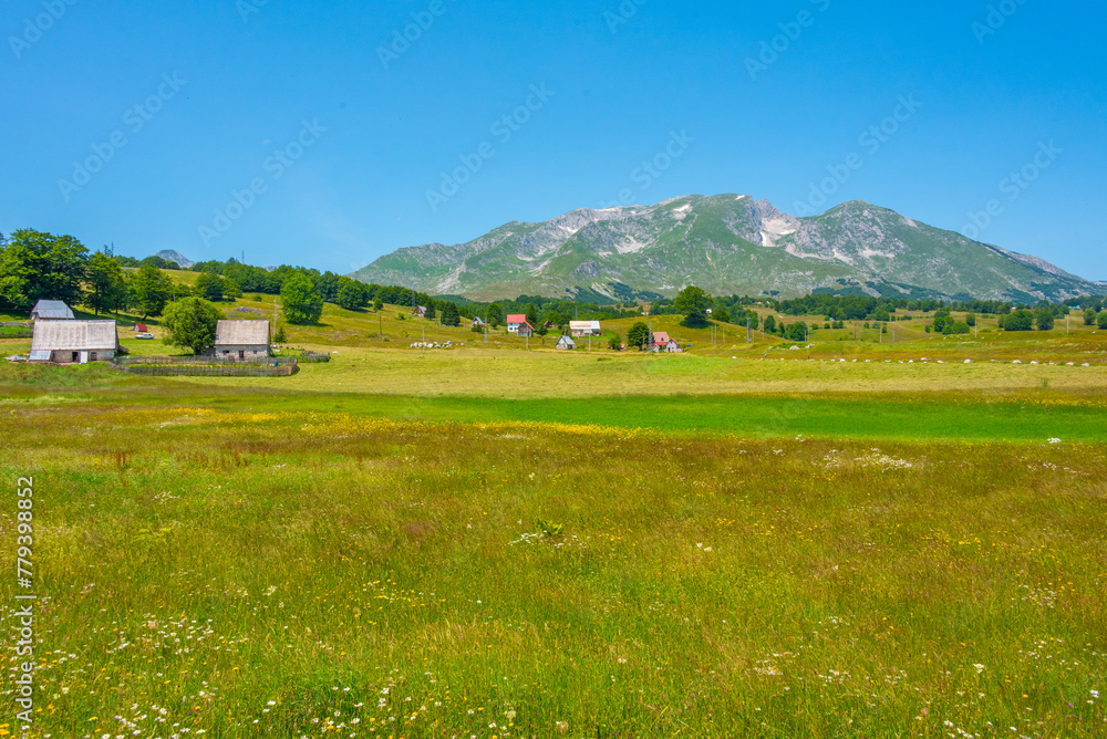 Peaks of Durmitor national park viewed behind a meadow, Montenegro Peaks of Durmitor national park viewed behind a meadow, Montenegro