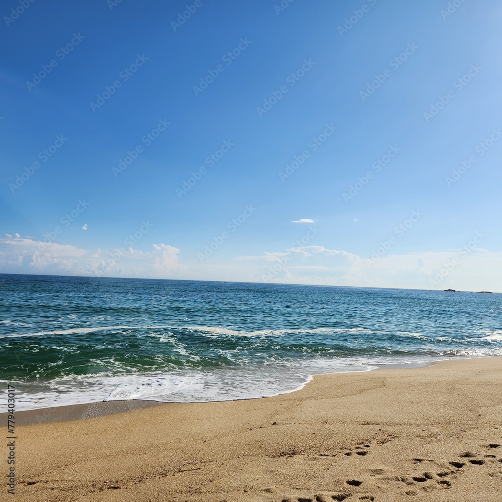 beach and sea