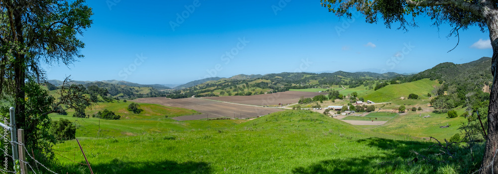 scenic landscape with old trees, field and meadow in Solvang, California scenic landscape with old trees, field and meadow in Solvang, California