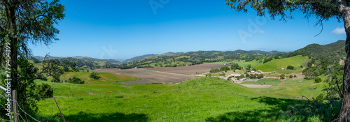 scenic landscape with old trees, field  and meadow in Solvang, California