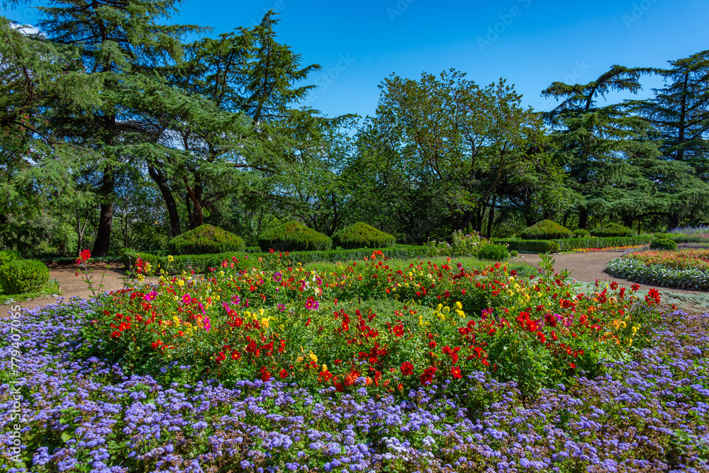 Summer day at the Tbilisi botanical garden in Georgia Summer day at the Tbilisi botanical garden in Georgia
