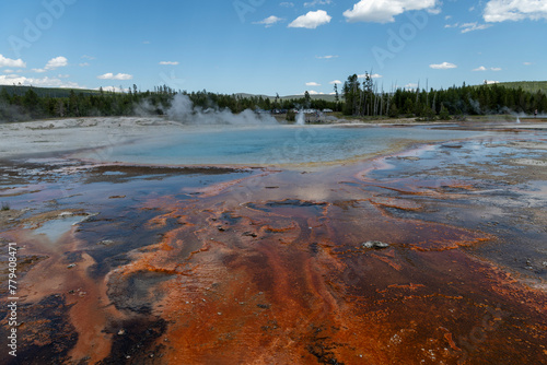 Nature's Palette: The Stunning Colors of Yellowstone National Park