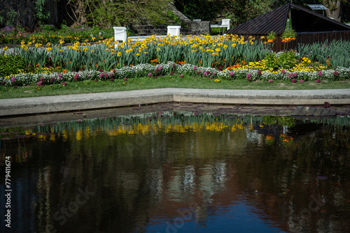 Flowerbeds with colourful spring flowers reflected in the water basin in the foreground