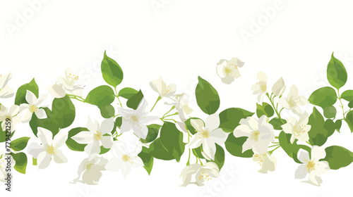 Panoramic shot of jasmine flowers on white surface flat © Bill