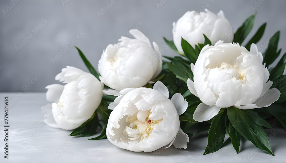 Fresh white peony flowers on a light gray table 3