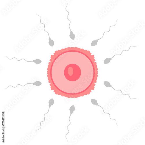 Sperm Cell to Egg Cell Icons