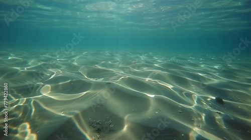 A wave s shadow on the sea floor  creating an ephemeral  moving pattern