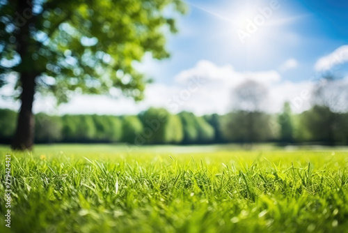 Close-Up View of a Golf Ball on a Lush Green Course on a Bright Sunny Day