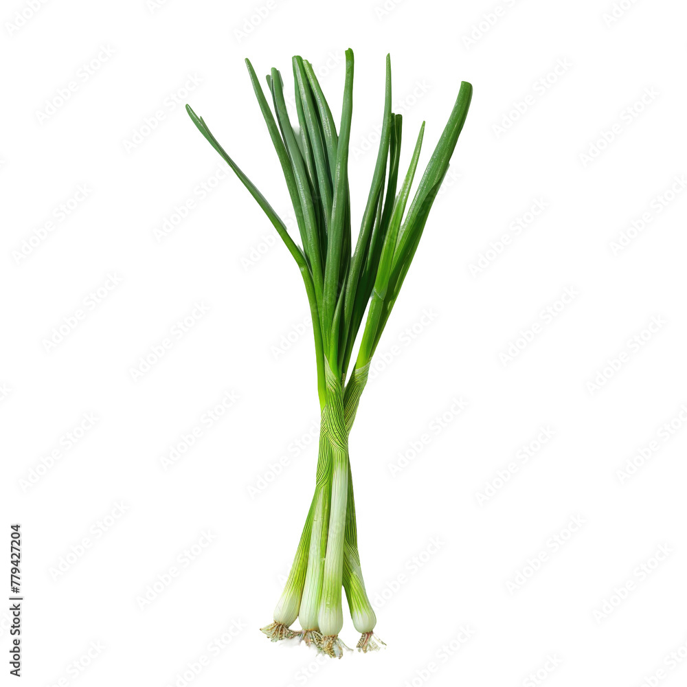 A close up of a bunch of green onions on a Transparent Background A close up of a bunch of green onions on a Transparent Background