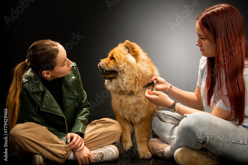Two young, beautiful girls are having fun with a chow chow dog