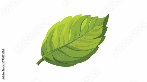 Leaf vector illustration design icon logo template flat