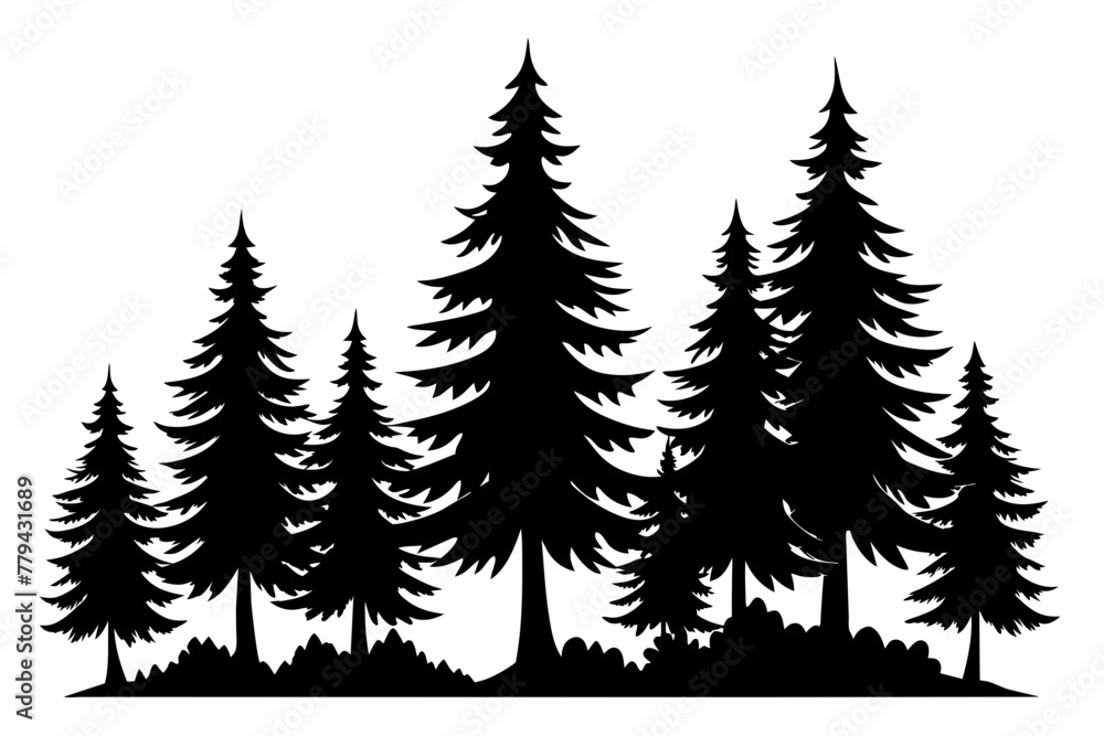 Isolated Spruce Tree Silhouettes white background Isolated Spruce Tree Silhouettes white background