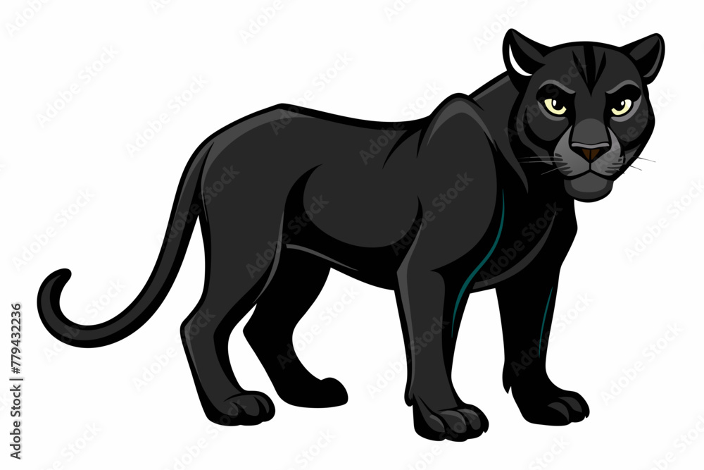 Black panther, on a white background, no background