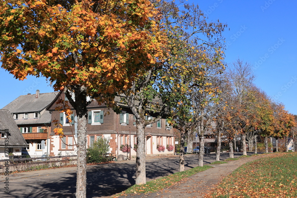 Naklejka premium Blick auf die Gemeinde Hinterzarten in Schwarzwald