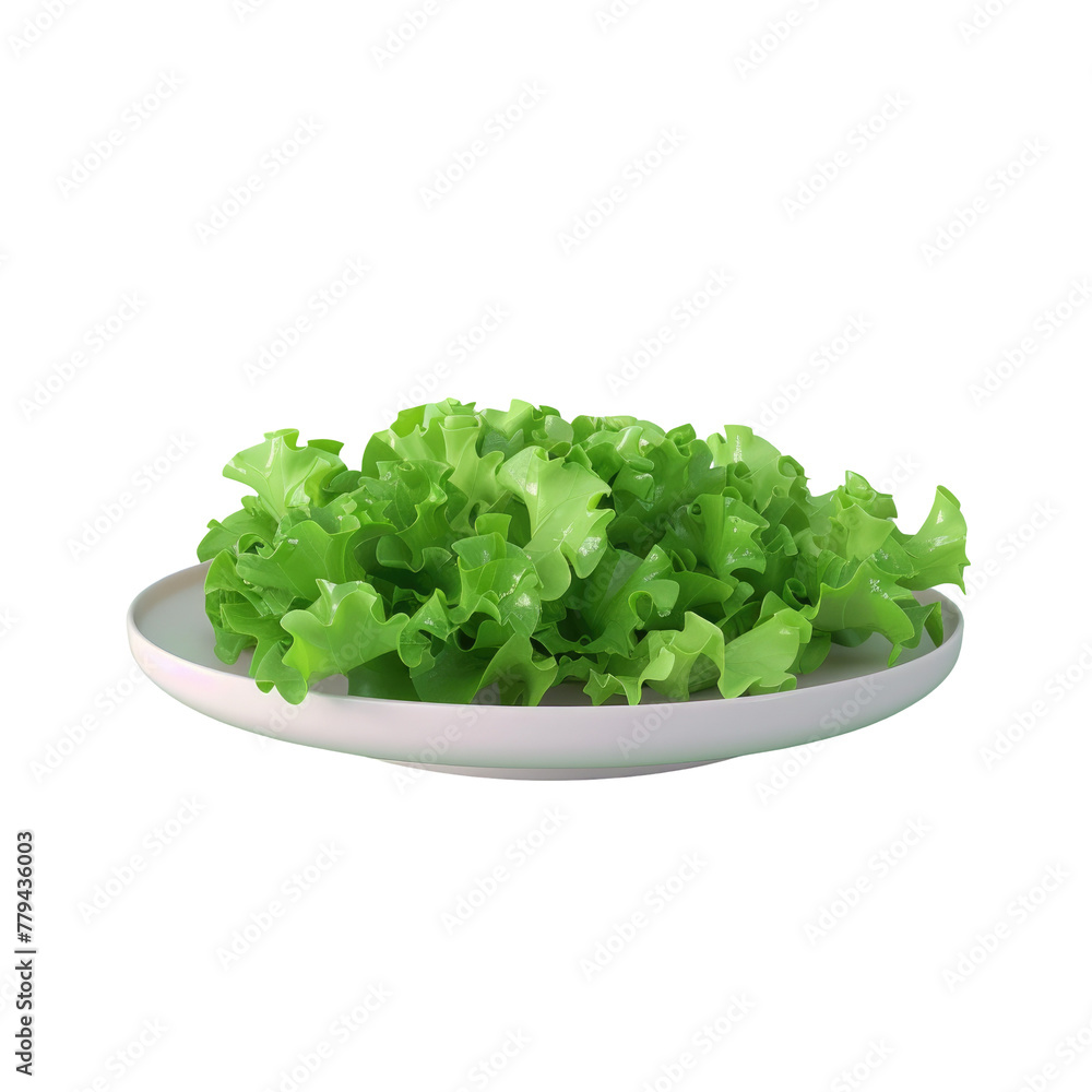 Plate of lettuce on a Transparent Background Plate of lettuce on a Transparent Background