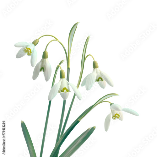 Three white flowers in a vase