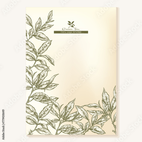 Green tea branch with leaves Border  frame  template for menu page  product label  cosmetic packaging. Vector illustration. In botanical style