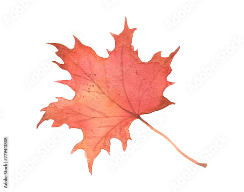 Watercolor autumn maple red leaf isolated. Hand drawn fall illustration